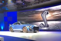 2019 Shelby GT500