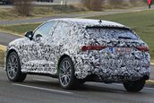 2020 Audi RS Q4