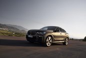 2020 BMW X6