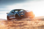 2020 Shelby GT500