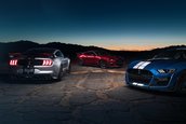 2020 Shelby GT500