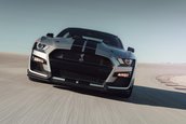 2020 Shelby GT500