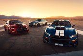 2020 Shelby GT500