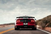 2020 Shelby GT500