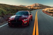 2020 Shelby GT500