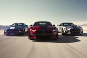 2020 Shelby GT500