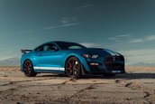 2020 Shelby GT500