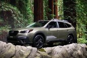 2020 Subaru Outback