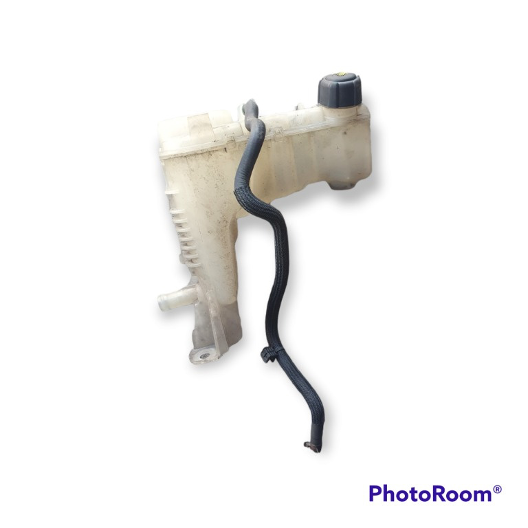 217100014R Vas expansiune Renault Laguna 3