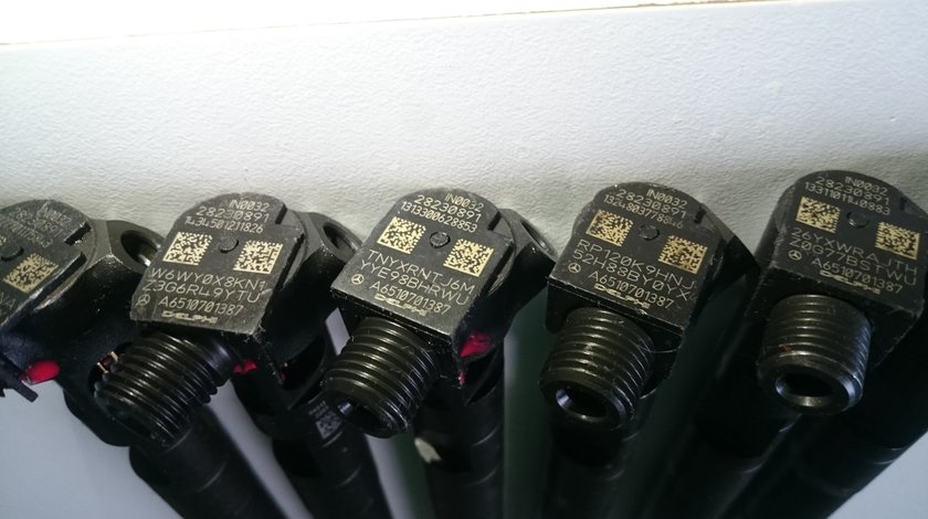 28230891 Delphi Injector Mercedes CDI A6510701387 W176 A 180 A 200 W246 B 180 B 200 Klasse