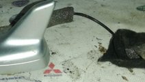 4e0035503r antena radio Audi A8 4E motor 3.0tdi AS...