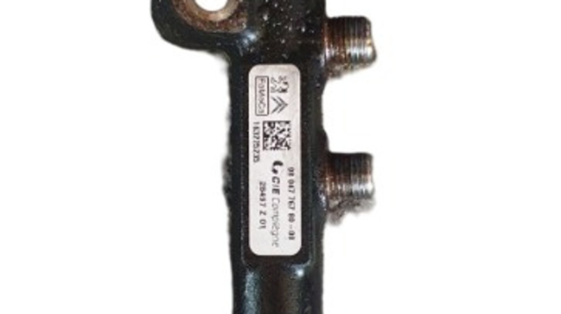 9804776780 Rampa injectoare completa Citroen C4 (2) 1.6 HDI