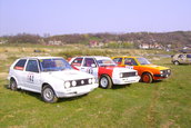 A doua etapa de Rallycross Zilele comunei Bradu-29-31 mai 2009