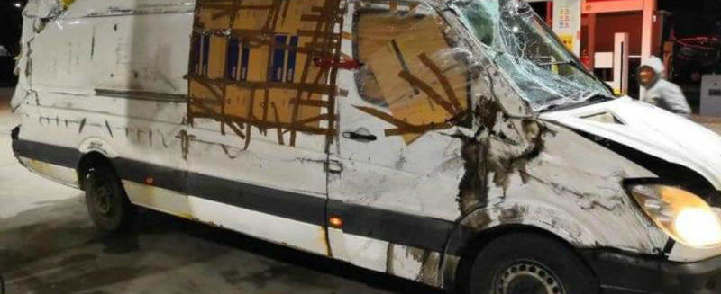 A facut-o dauna in Ungaria si a venit cu ea pe roti pana la Buzau. Pe drum a luat O SINGURA amenda A facut-o dauna in Ungaria si a venit cu ea pe roti pana la Buzau. Pe drum a luat O SINGURA amenda