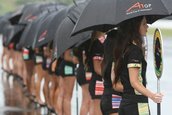 A1GP Australia Grid Girls