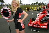 A1GP Australia Grid Girls