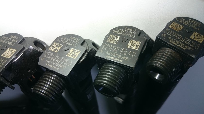 A6510703087 Injector Mercedes Sprinter W906 2.2 CDI 28307309 Delphi