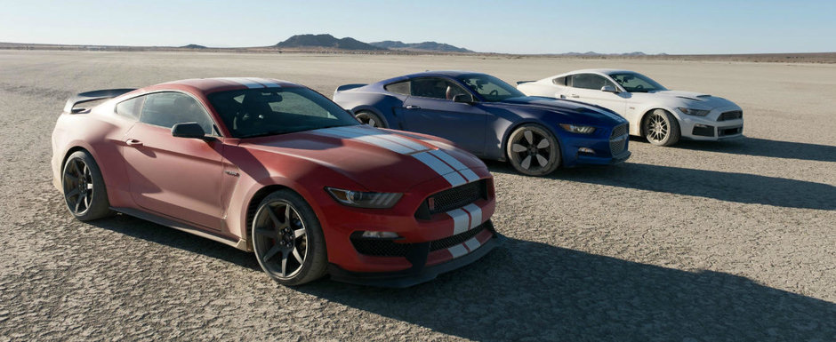 Absolut tot ce trebuie sa stii despre Mustang-urile din deschiderea show-ului The Grand Tour. Absolut tot ce trebuie sa stii despre Mustang-urile din deschiderea show-ului The Grand Tour.