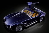 AC Roadster, un mic monstru de 800 CP