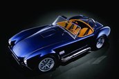 AC Roadster, un mic monstru de 800 CP