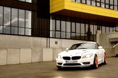 AC Schnitzer ACZ4 5.0d