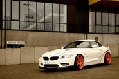 AC Schnitzer ACZ4 5.0d