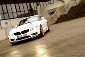 AC Schnitzer ACZ4 5.0d