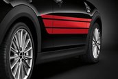 Accesorii MINI 2015