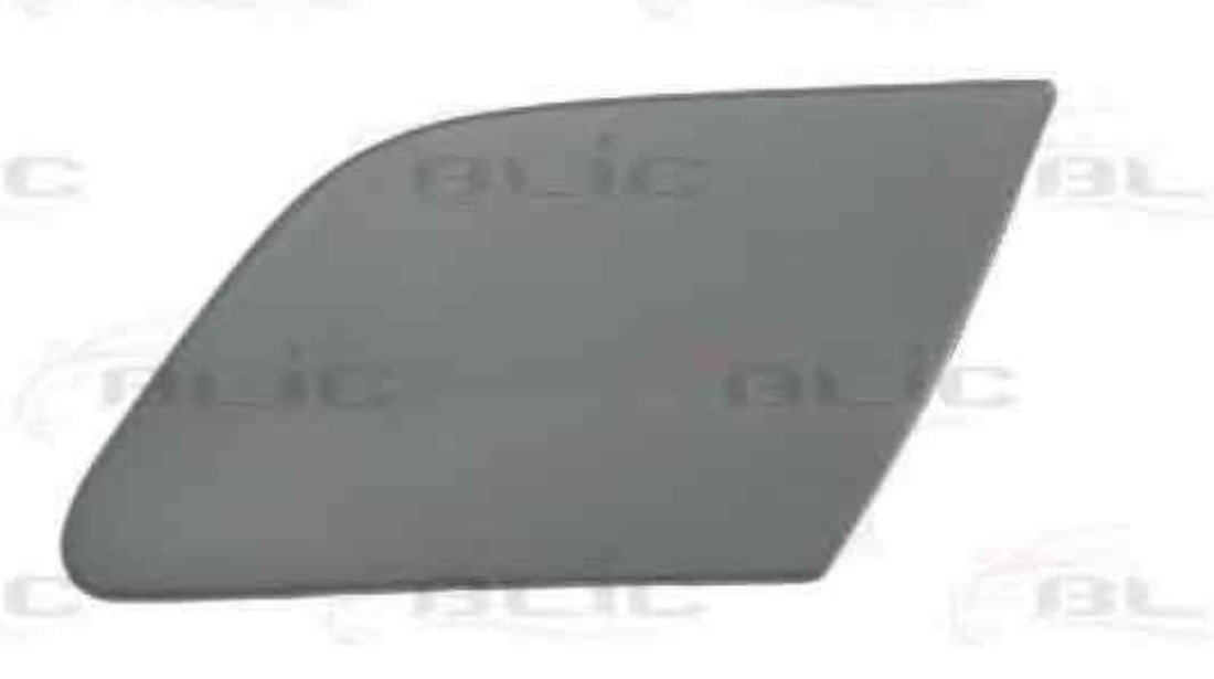 Acoperire, bara protectie VW GOLF V (1K1) BLIC 5513-00-9524911P