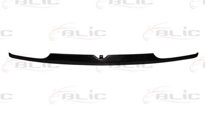 Acoperire grila radiator VW GOLF III Cabriolet 1E7 Producator BLIC 6502-07-9522210P