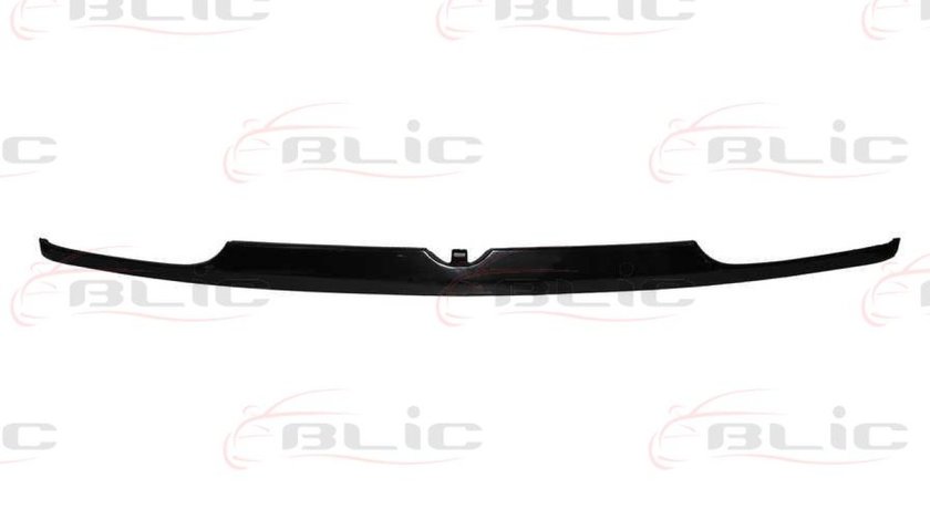 Acoperire grila radiator VW GOLF III Variant 1H5 Producator BLIC 6502-07-9522210P