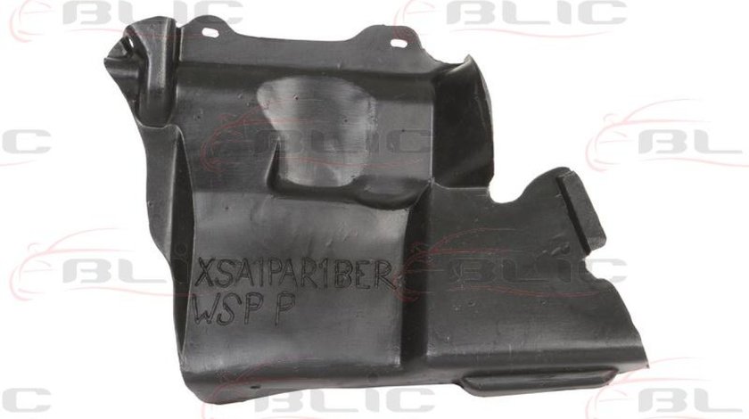 Acoperire motor CITROËN XSARA coupe N0 Producator BLIC 6601-02-0550872P