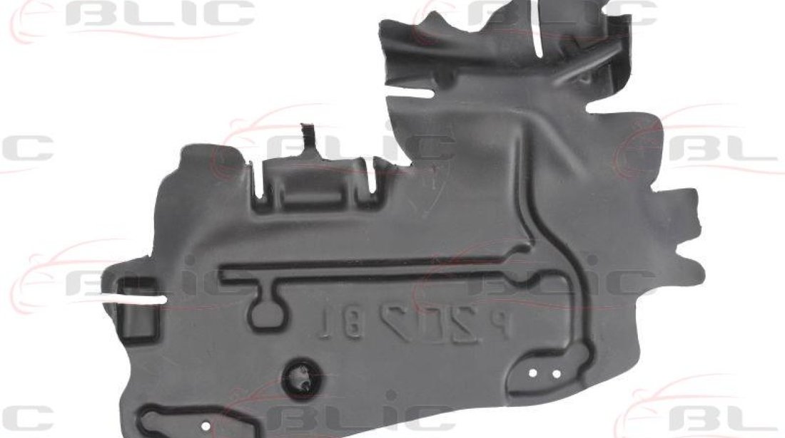 Acoperire motor PEUGEOT 207 WA WC Producator BLIC 6601-02-5508871P