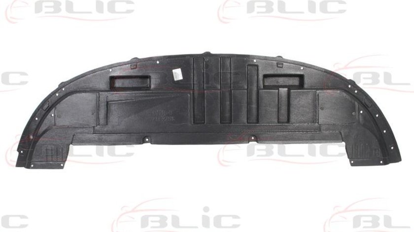 Acoperire motor RENAULT CLIO III BR0/1 CR0/1 Producator BLIC 6601-02-6033880P