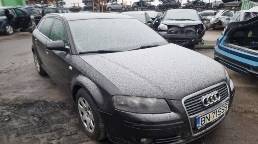 Aeroterma Audi A3 8P 2007 hatchback 1.9 TDI