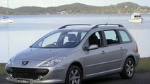 Aeroterma peugeot 307 1.6 hdi