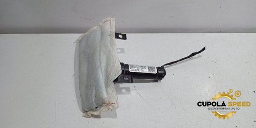 Airbag scaun dreapta fata 7161064 BMW X6 E71/E72 [2008 - 2012]