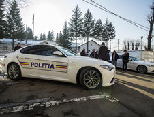 Alfa Politie