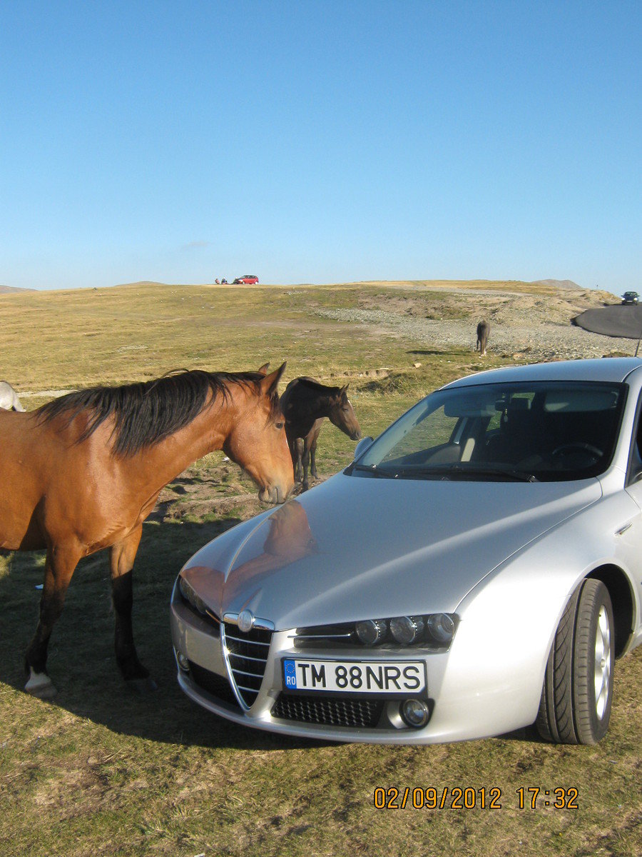 Alfa Romeo 159