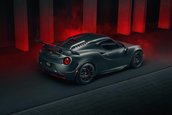 Alfa Romeo 4C Nemesis