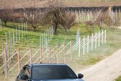 Alfa Romeo Junior Ibrida Q4