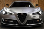 Alfa Romeo Mole Costruzione Artigianale 001