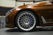 Alpina B7 in Chestnut Bronze