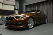 Alpina B7 in Chestnut Bronze