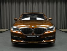 Alpina B7 in Chestnut Bronze