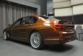 Alpina B7 in Chestnut Bronze