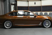 Alpina B7 in Chestnut Bronze