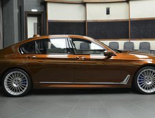 Alpina B7 in Chestnut Bronze