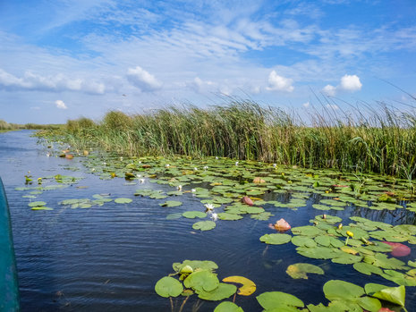 Am facut 1200 km prin Dobrogea si am aflat ca Romania e frumoasa