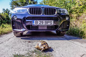 Am facut 1200 km prin Dobrogea si am aflat ca Romania e frumoasa